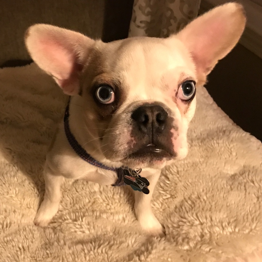 Meet your Posher, Carleen